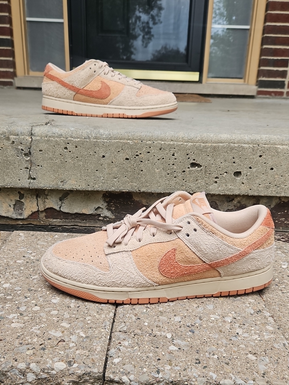 NWOT Nike Dunk Low